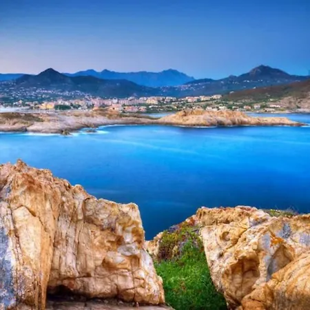 公寓 Les Allees LʼÎle-Rousse